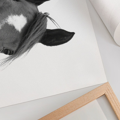Poster till sovrum Svartvitt fotografi av hästens elegans