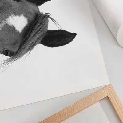 Poster Hästens elegans svartvitt fotografi till sovrummet