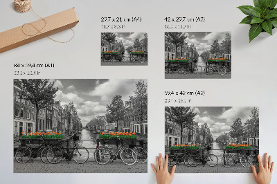Stilren väggposter En charmig utsikt över kanalen, cyklar, tulpaner, svart och orange