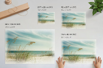 Poster strandgräs hav himmel fred