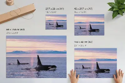 Väggposter späckhuggare i ett pastellfärgat havslandskap