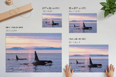 Stilren väggposter Späckhuggare mot ett pastellfärgat havslandskap