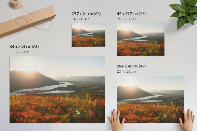 Väggposter Blommor, berg, flod, solnedgång, fridfull atmosfär