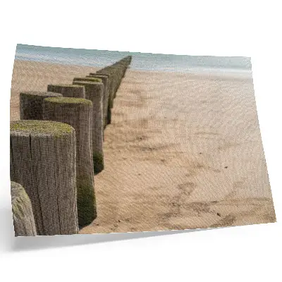 Väggposter med motiv av träpålar vid havet i naturmiljö