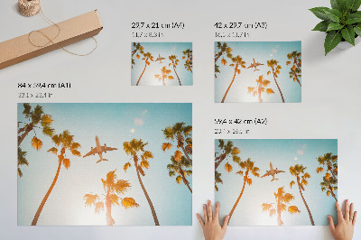 Poster Flygplan palmer blå himmel tropiskt klimat
