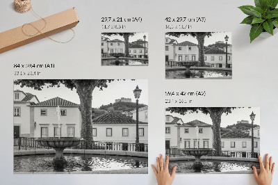 Poster till sovrum Svartvit fontän klassiska byggnader slott
