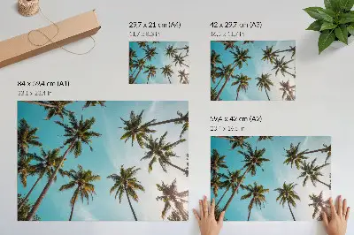Väggposter palmer mot en blå bakgrund med fridfull naturkänsla