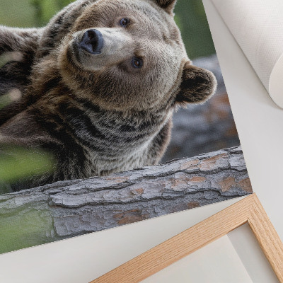 Poster En björn i en skog full av naturlig charm