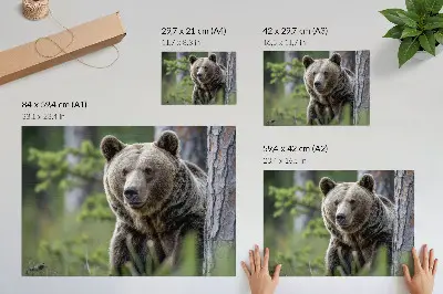 Poster med motiv av en björn i en skog fylld av naturlig charm