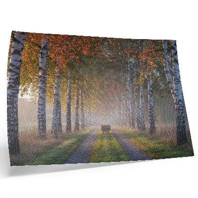 Väggposter Symmetriska björkar, dimmigt ljus, höstgränd