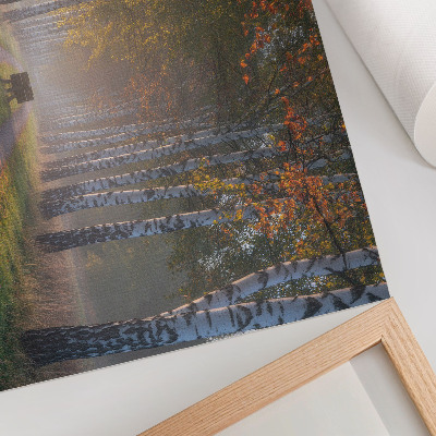 Väggposter Symmetriska björkar, dimmigt ljus, höstgränd