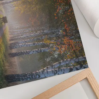 Väggposter symmetriska björkar i dimmigt höstljus