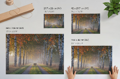 Väggposter Symmetriska björkar, dimmigt ljus, höstgränd