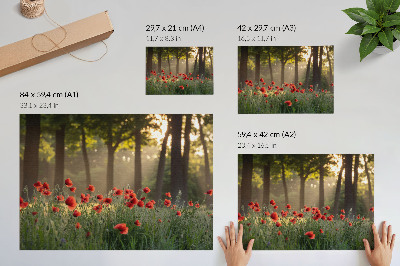 Stilren väggposter Röda vallmo gröna skogssolstrålar
