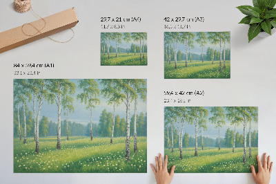Poster Majestätiska björkträd gröna ängsblommor