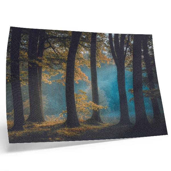 Stilren väggposter Tyst skog, morgonsol, färgglada löv