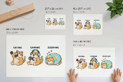 Poster Roliga katter illustrationer söta roliga