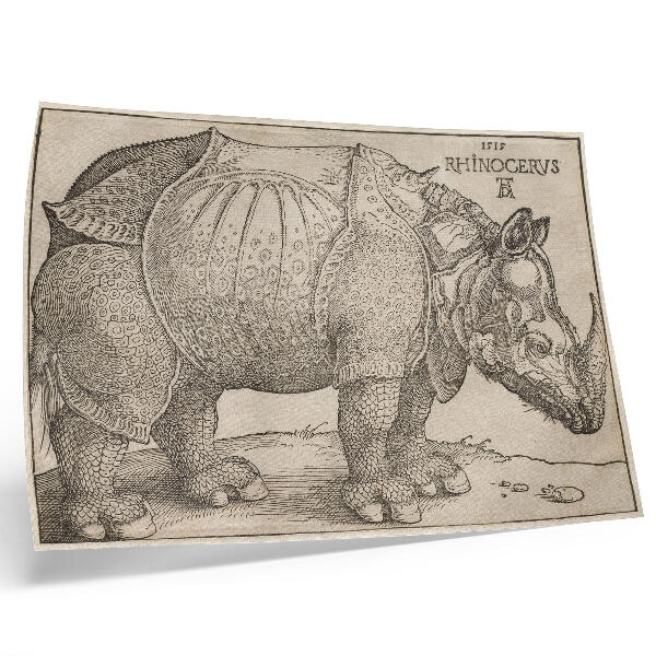 Poster Noshörning (1515) av Albrecht Dürer