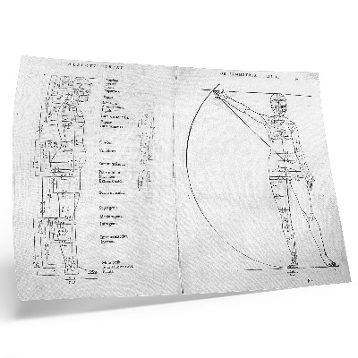 Poster till sovrum Teckning av en man på latin i Albrecht Dürers version