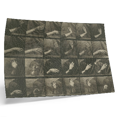 Väggposter Djurens förflyttning, plansch 535 (1887) av Eadweard Muybridge