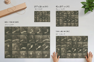 Väggposter Djurens förflyttning, plansch 535 (1887) av Eadweard Muybridge