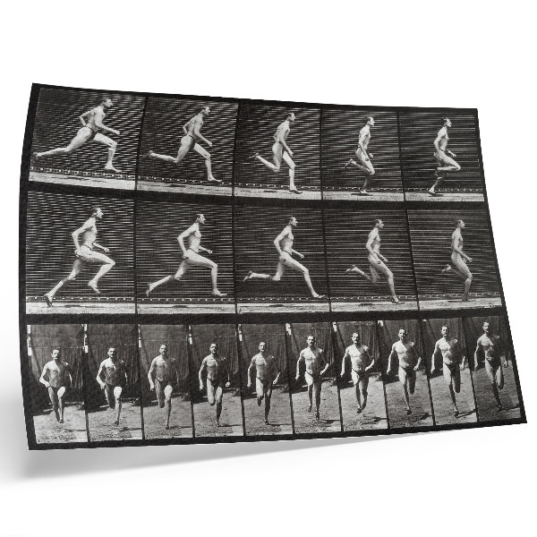 Poster Plansch 60 av djurens förflyttning (1887) fotograferad av Eadweard Muybridge