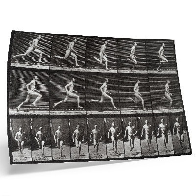 Poster Plansch 60 av djurens förflyttning (1887) fotograferad av Eadweard Muybridge