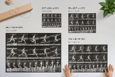 Poster Plansch 60 av djurens förflyttning (1887) fotograferad av Eadweard Muybridge