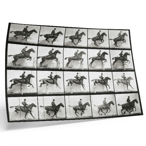 Poster till sovrum Plansch 640 av djurens förflyttning (1887), ridning fotograferad av Eadweard Muybridge
