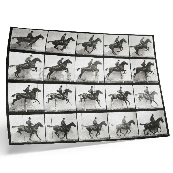 Poster med djurens förflyttning av Eadweard Muybridge plansch 640 från 1887 för sovrum