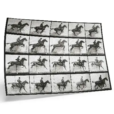 Poster med djurens förflyttning av Eadweard Muybridge plansch 640 från 1887 för sovrum