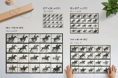 Poster till sovrum Plansch 640 av djurens förflyttning (1887), ridning fotograferad av Eadweard Muybridge