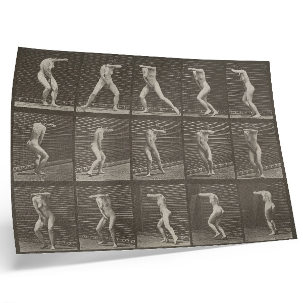 Väggposter Plansch nummer 73. Att vända sig om i överraskning och fly (1887) av Eadweard Muybridge