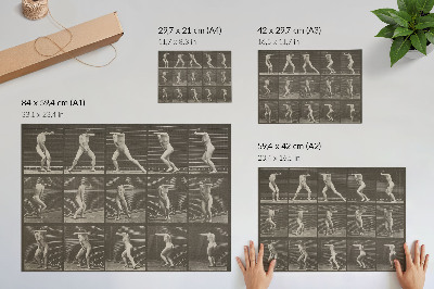 Väggposter Plansch nummer 73. Att vända sig om i överraskning och fly (1887) av Eadweard Muybridge