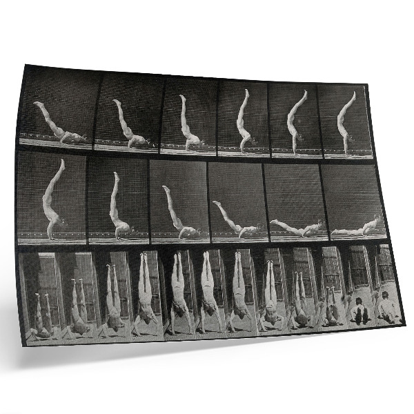 Poster En man stående på händerna från ryggläge. Fototyp efter Eadweard Muybridge, 1887.