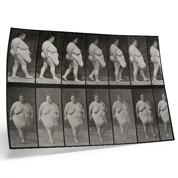 Poster till sovrum ösverviktig kvinna som går, fototyp efter Eadweard Muybridge från 1887