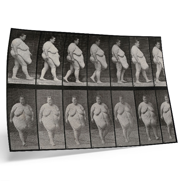 Poster till sovrum Överviktig kvinna som går. Fototyp efter Eadweard Muybridge, 1887.
