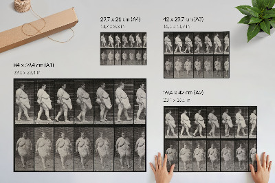 Poster till sovrum Överviktig kvinna som går. Fototyp efter Eadweard Muybridge, 1887.