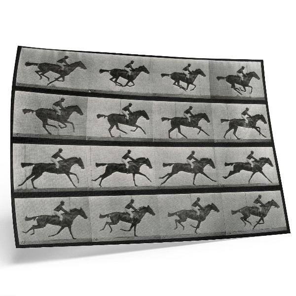 Väggposter Galopperande häst och ryttare. Fototyp efter Eadweard Muybridge, 1887
