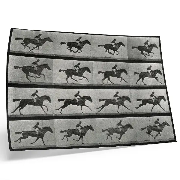 Väggposter galopperande häst och ryttare, fototyp efter Eadweard Muybridge från 1887