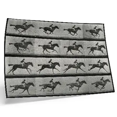 Väggposter galopperande häst och ryttare, fototyp efter Eadweard Muybridge från 1887