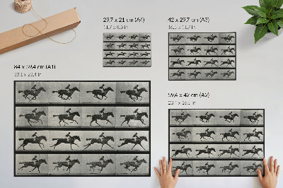 Väggposter Galopperande häst och ryttare. Fototyp efter Eadweard Muybridge, 1887