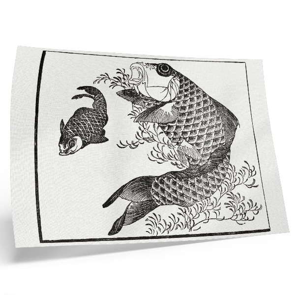 Poster Hokusais karp, en japansk djurillustration