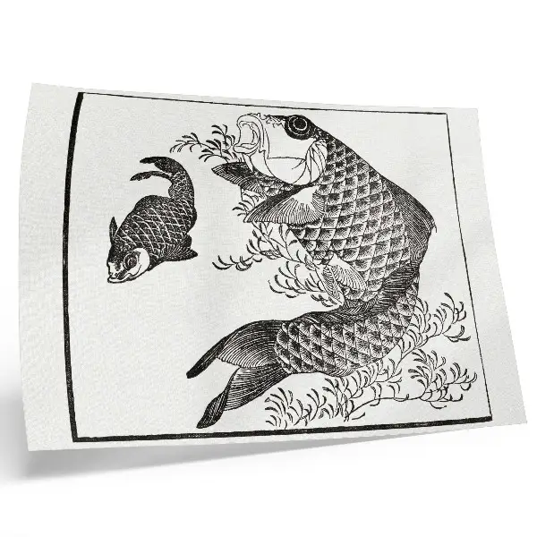 Hokusais karp japansk djurillustration som poster