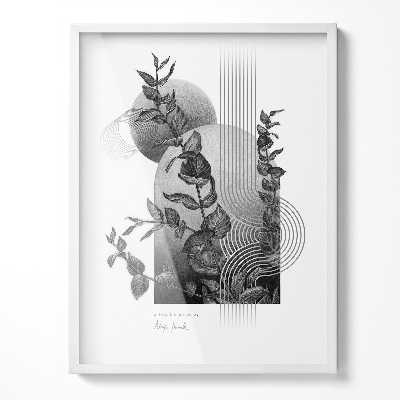 Affischram vit 60x80 cm