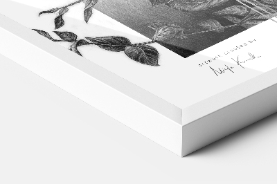 Affischram vit 60x80 cm