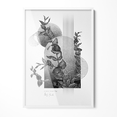 Tavelram för posters vit 70x100 cm