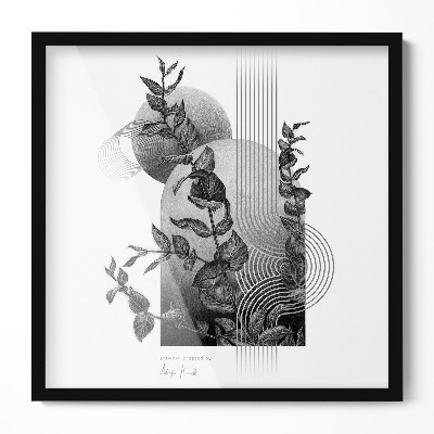 Tavelram för posters svart 50x50 cm