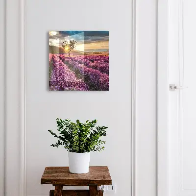 Nyckelskåp med motiv av lavendel i solnedgång