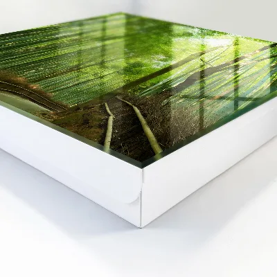 Nyckelskåp i bambu snygg design
